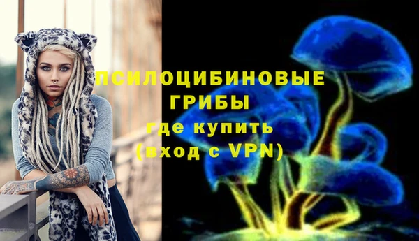 ПСИЛОЦИБИНОВЫЕ ГРИБЫ Алексеевка