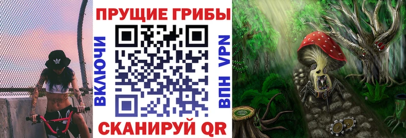 что такое Искитим Галлюциногенные грибы Cubensis